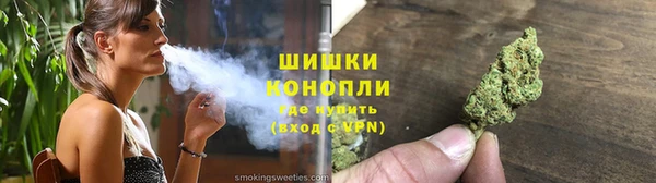 стаф Горняк