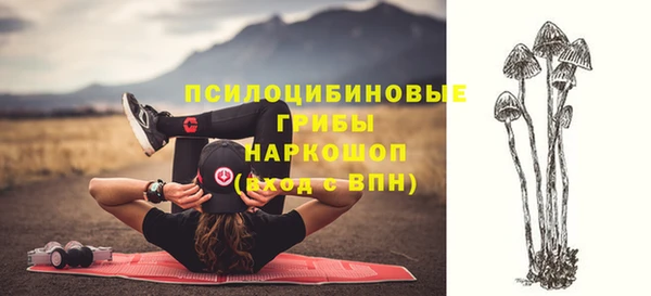 jwh Вязьма