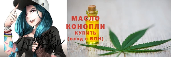 стаф Горняк