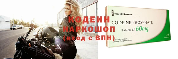индика Вяземский