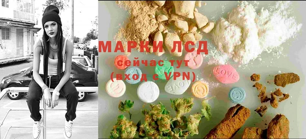 индика Вяземский