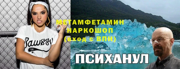 индика Вяземский