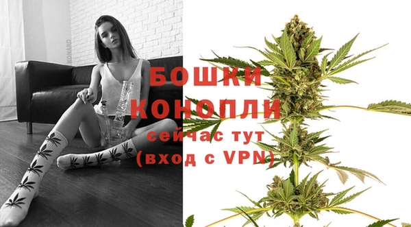 стаф Горняк