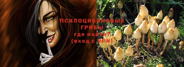 индика Вяземский