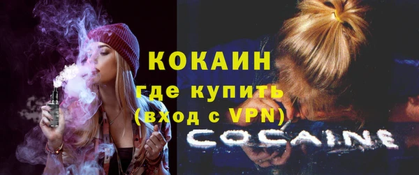 стаф Горняк