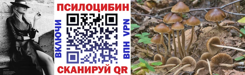 Купить  Макушино  Псилоцибиновые грибы MAGIC MUSHROOMS 
